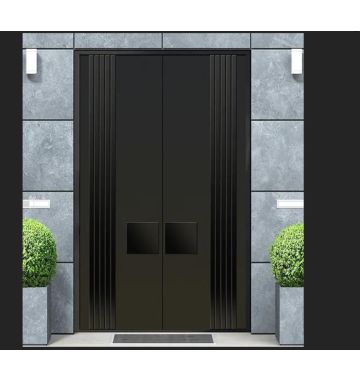 The Concept Entrance Door